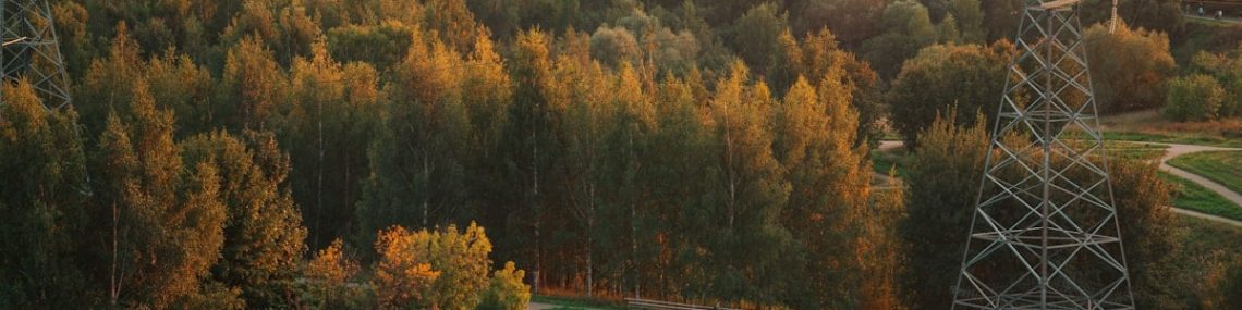 Autumn forest with power lines and walking path
