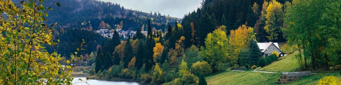 a lake surrounded by trees and mountains
